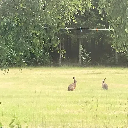 Domek letniskowy Sloneczny ,kaszuby Lysniewo