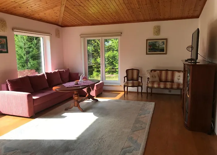 Sloneczny ,kaszuby Domek letniskowy Lysniewo