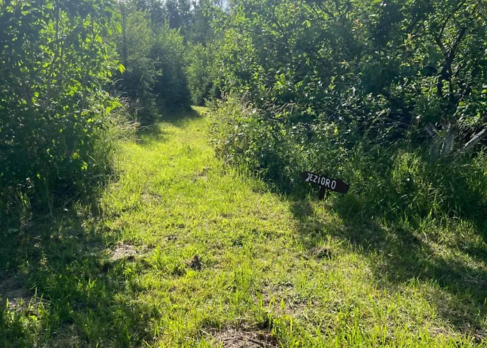 Sloneczny ,kaszuby Domek letniskowy *