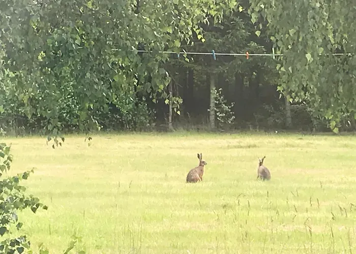 Domek letniskowy Sloneczny ,kaszuby Lysniewo
