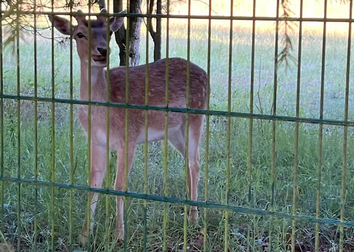 Sloneczny ,kaszuby Domek letniskowy *